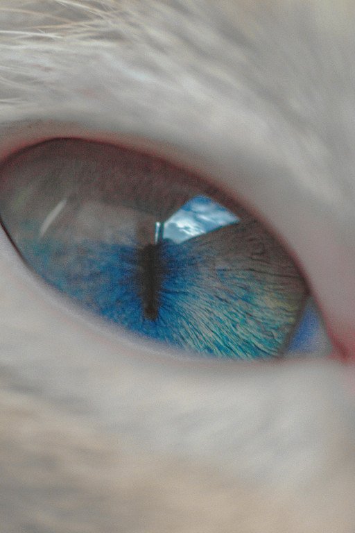 Combatting Blue Light Eye Strain: A Comprehensive Guide